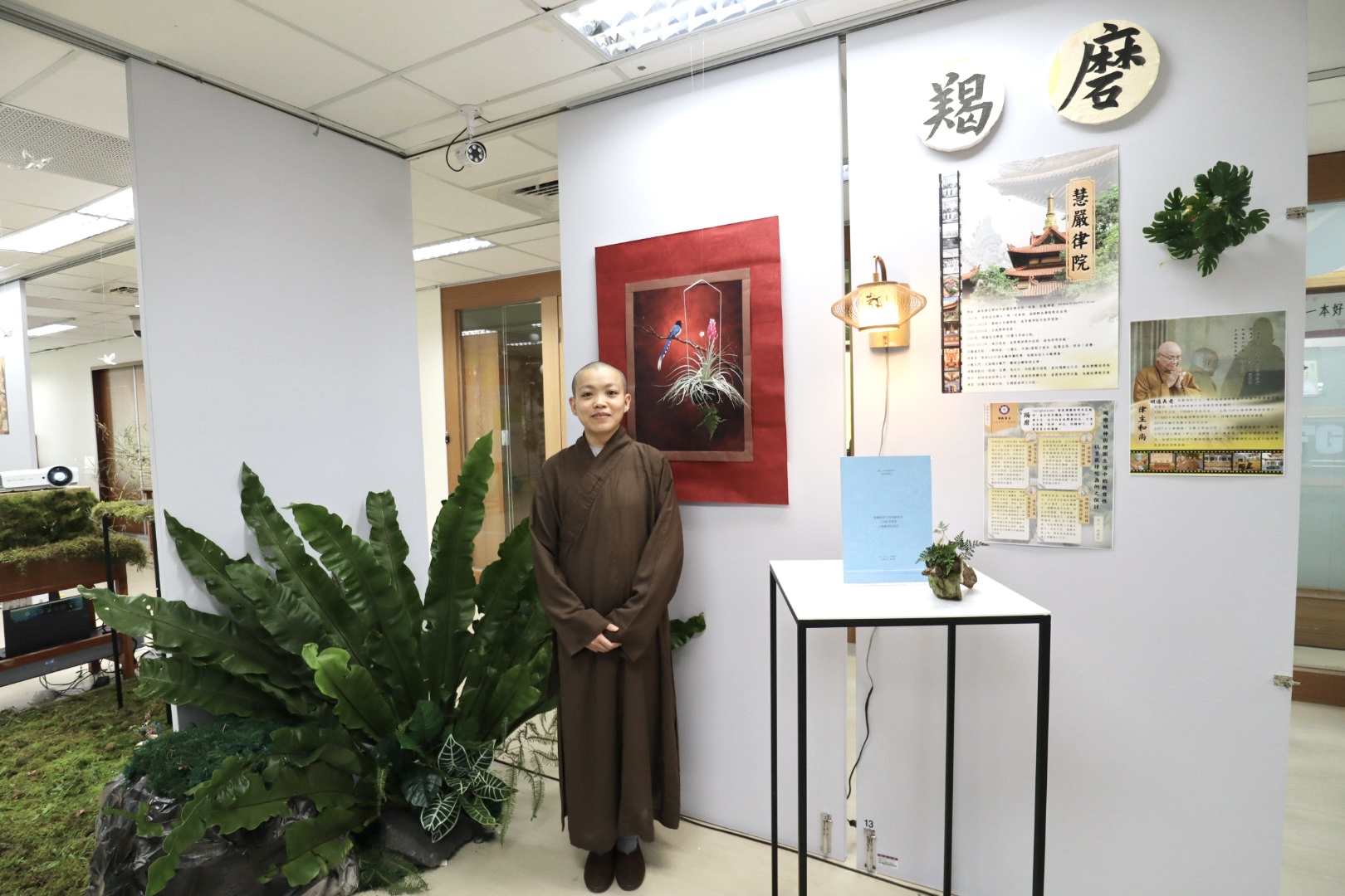 這是一張圖片